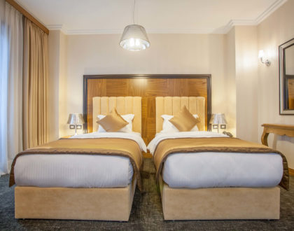 Deluxe Twin Room